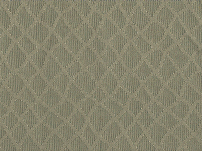 Sunbrella Boston Fern furniture fabric. Item number 47017-05